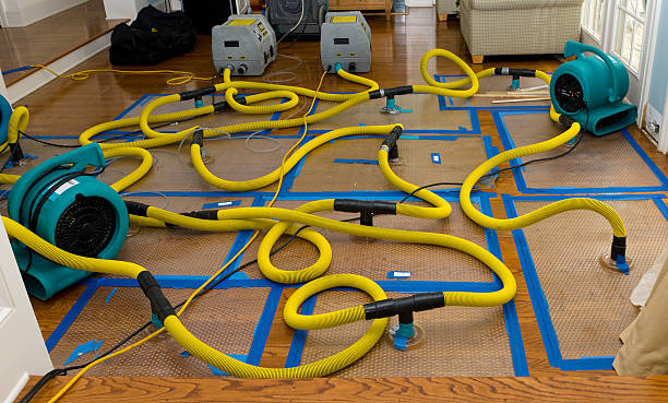 Professional Crawl Space Water Removal technician working in Leavittsburg, OH